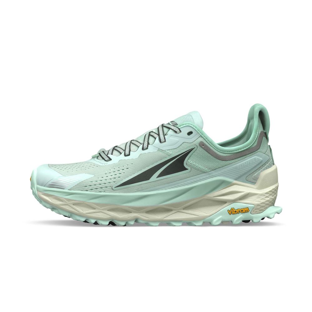 Chaussure Trail Running Altra Olympus 5 Argent Bleu Femme | IPJ-91389000