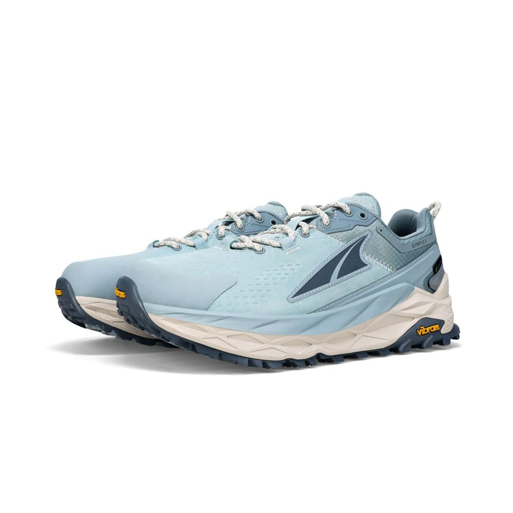 Chaussure de Randonnée Altra Olympus 5 Hike Low GTX Bleu Femme | ROY-30673618