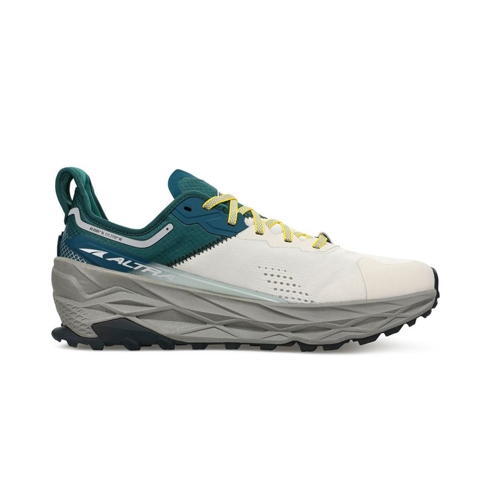 Chaussure de Marche Altra Olympus 5 Grise Vert Homme | BGY-26362081