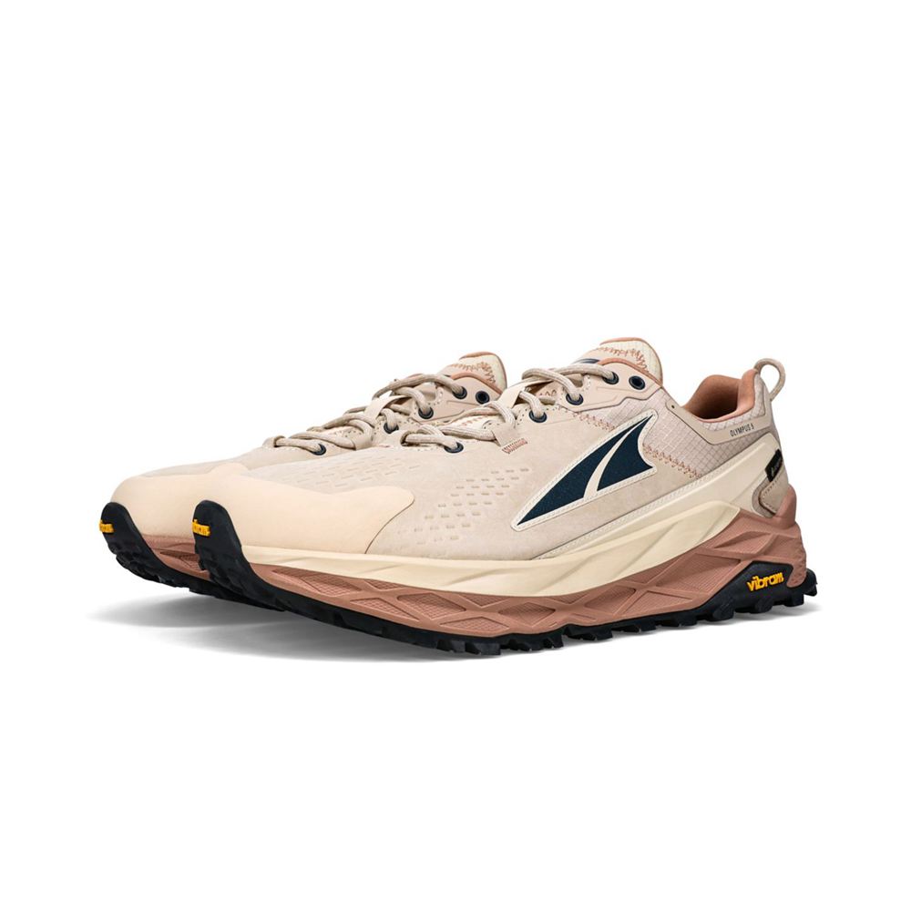 Chaussure Trail Running Altra Olympus 5 Hike Low GTX Beige Homme | XUH-96443303