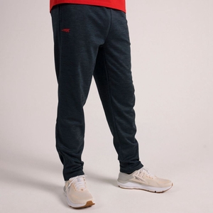 Pantalon Jogger Altra Everyday Grise Homme | FLM-62100898